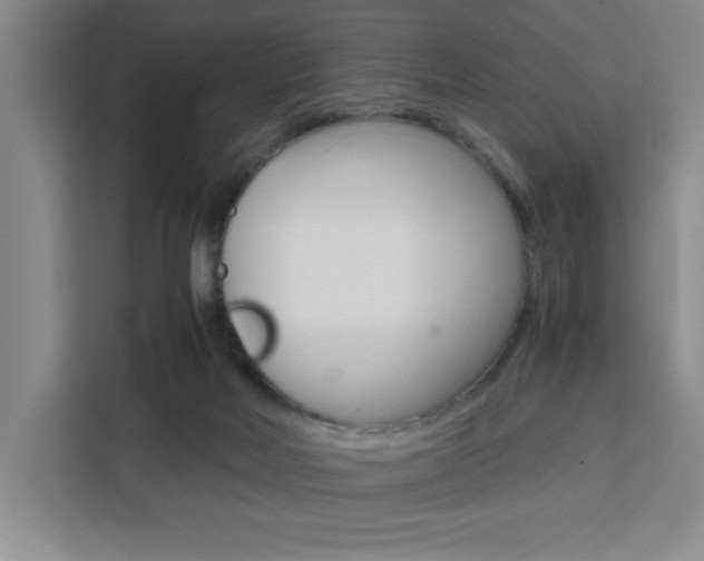 X0000111450026200907131050