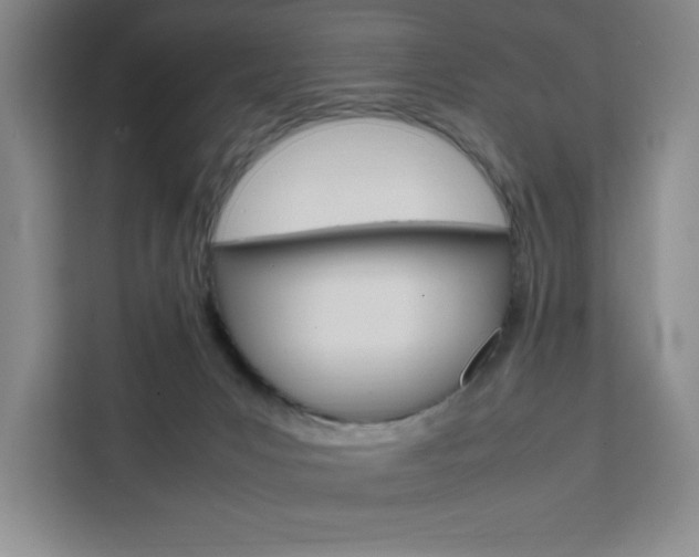 X0000111450031200907131050