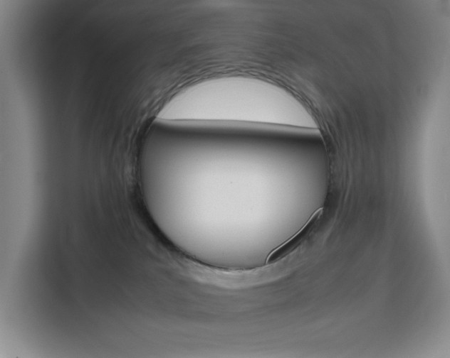 X0000111450039200907131050
