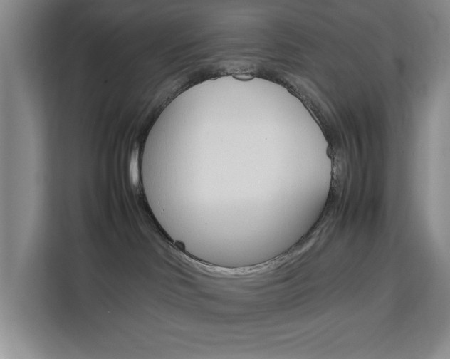 X0000111450046200907131049