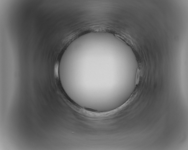 X0000111450047200907131049