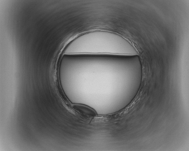 X0000111450050200907131049