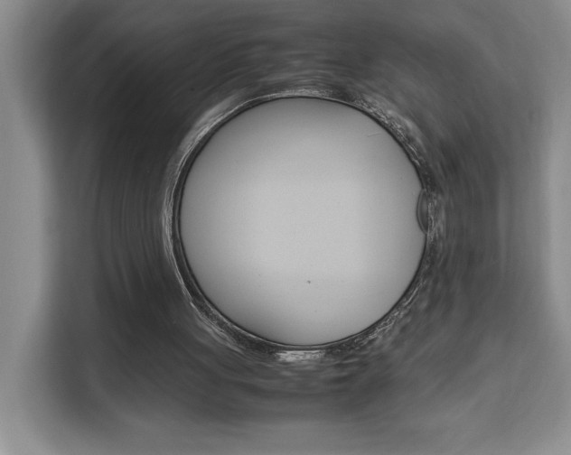 X0000111450051200907131049