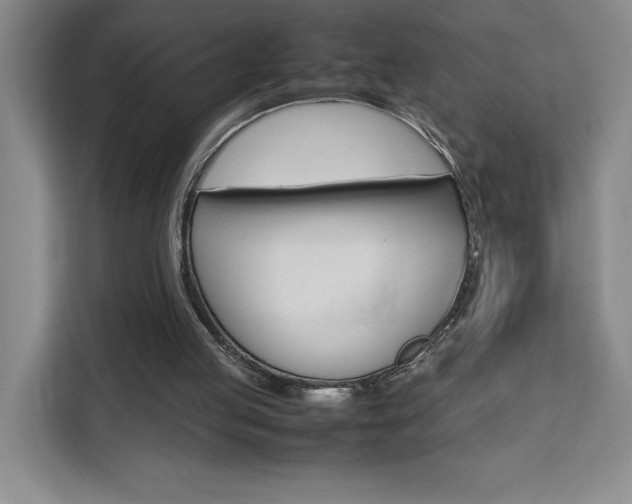 X0000111450053200907131049