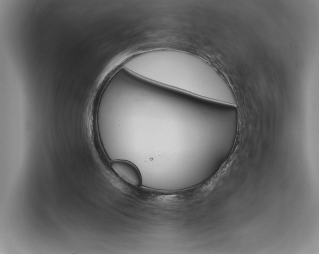 X0000111450054200907131049