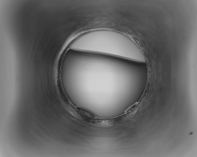 X0000111450056200907131049