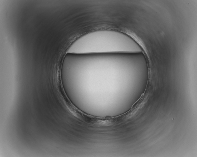 X0000111450057200907131049