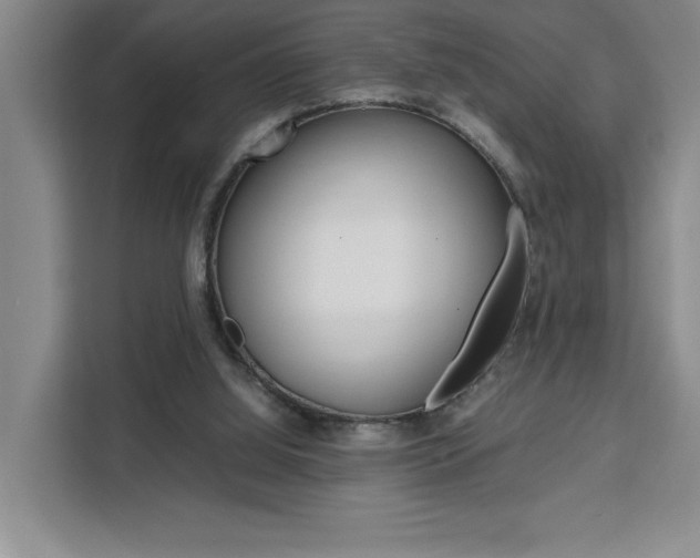 X0000111450060200907131049