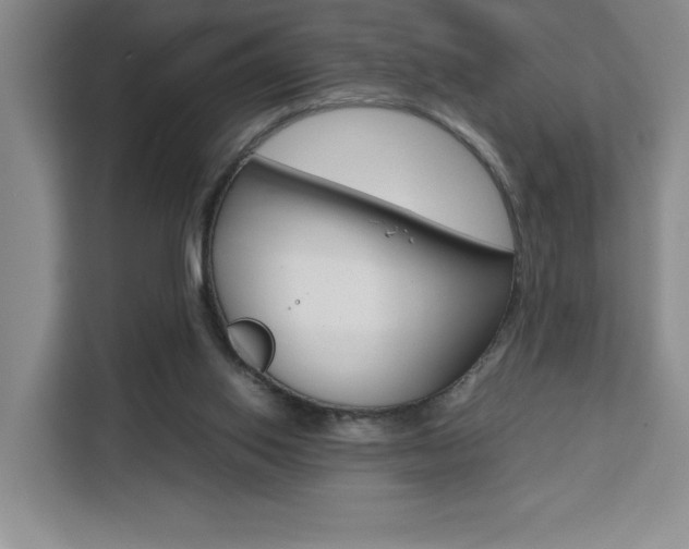 X0000111450062200907131049