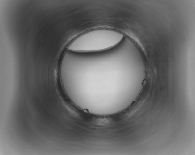 X0000111450063200907131049