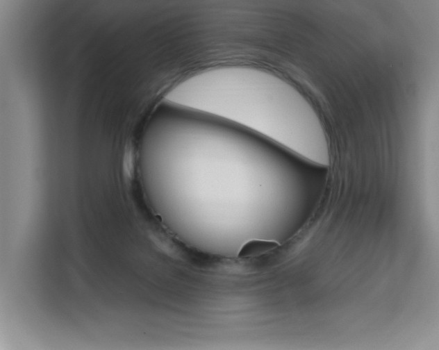 X0000111450076200907131049