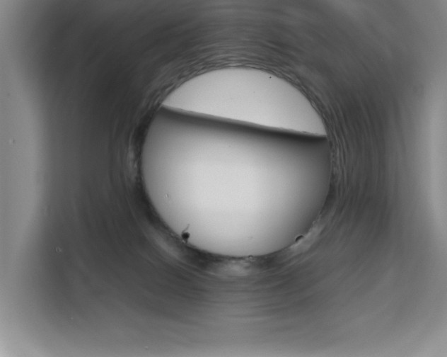 X0000111450086200907131049