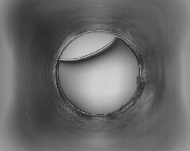X0000111450099200907131049