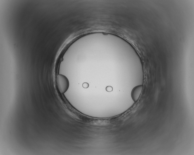 X0000111450102200907131049