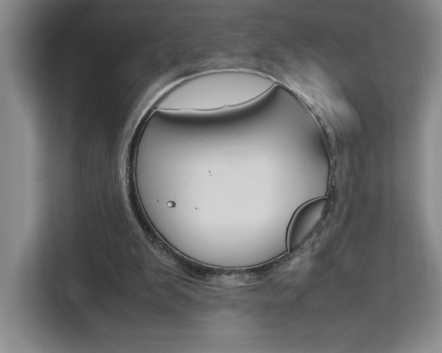 X0000111450103200907131049