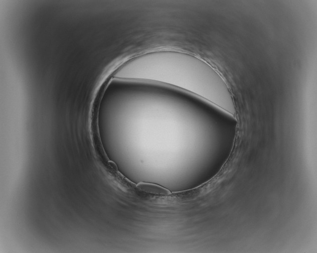 X0000111450104200907131049