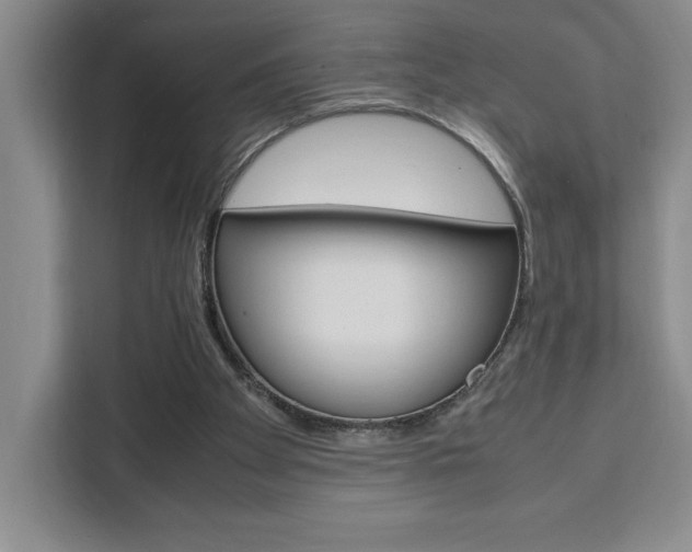X0000111450105200907131049