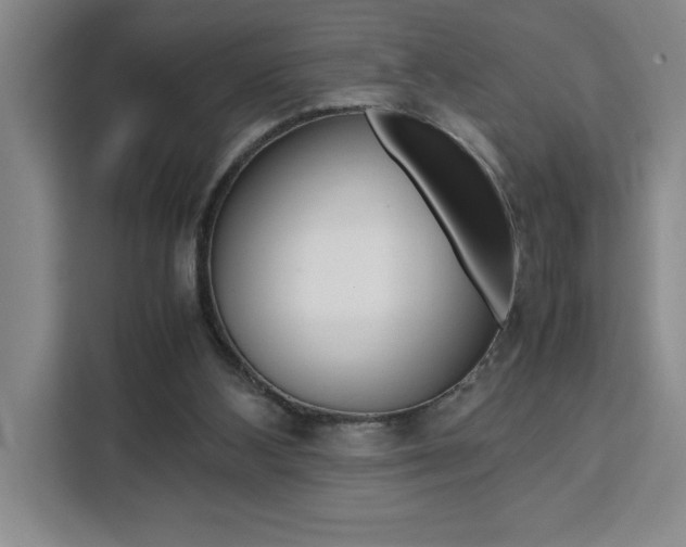 X0000111450108200907131049