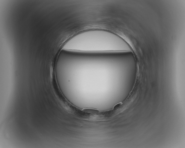 X0000111450109200907131049