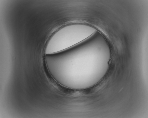 X0000111450111200907131049