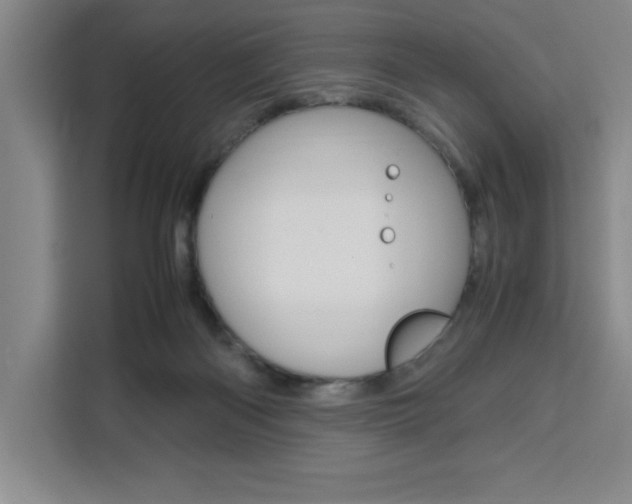 X0000111450122200907131048