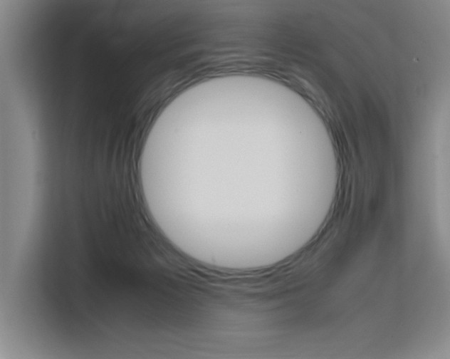 X0000111450125200907131048