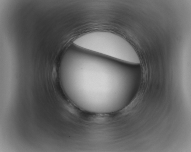 X0000111450128200907131048