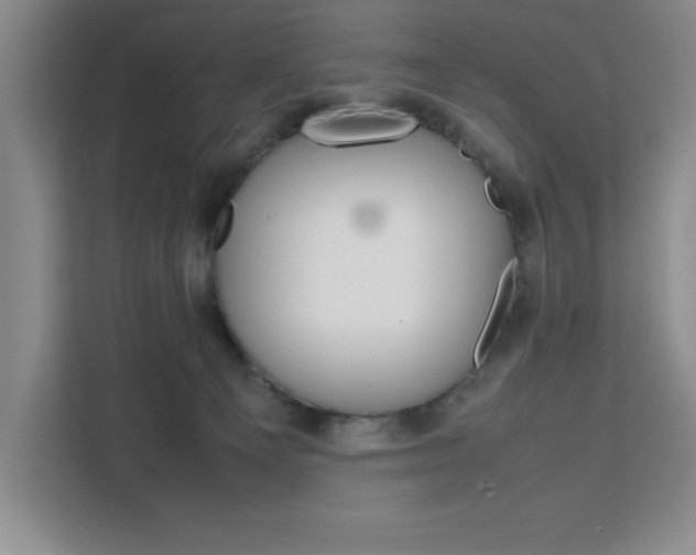 X0000111450129200907131048