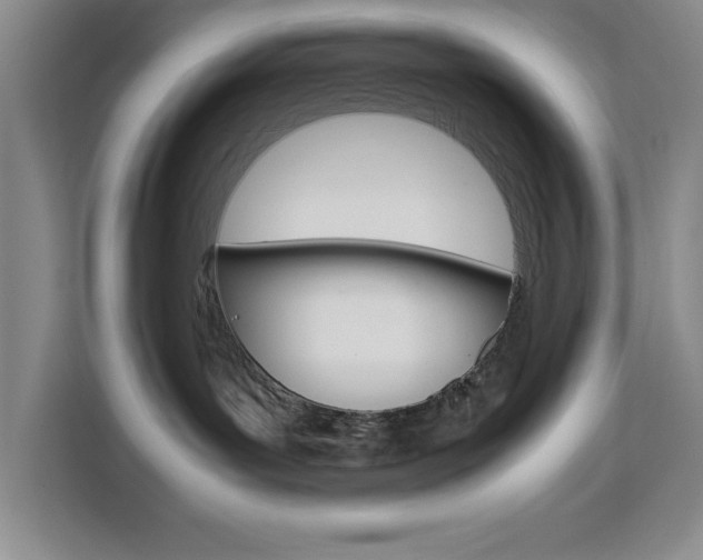 X0000111450143200907131048