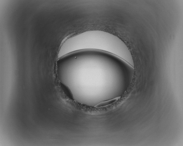 X0000111450144200907131048
