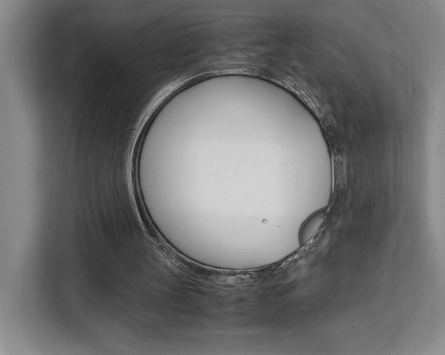 X0000111450147200907131048
