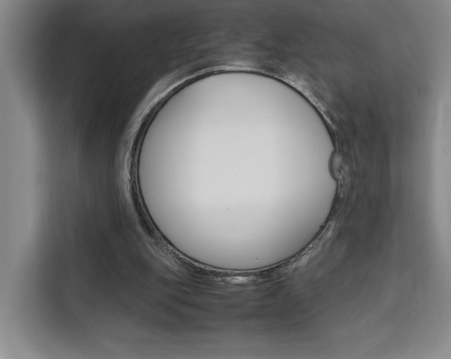 X0000111450151200907131048