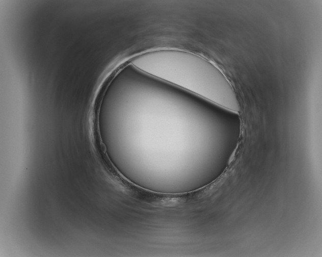 X0000111450152200907131048