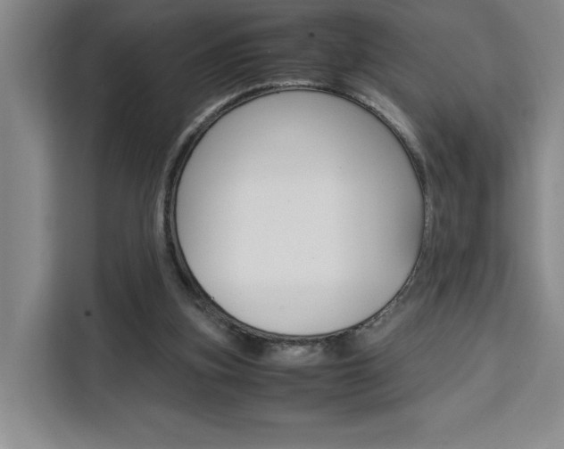 X0000111450155200907131048
