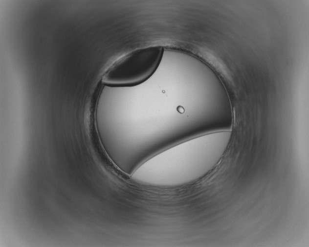 X0000111450156200907131048