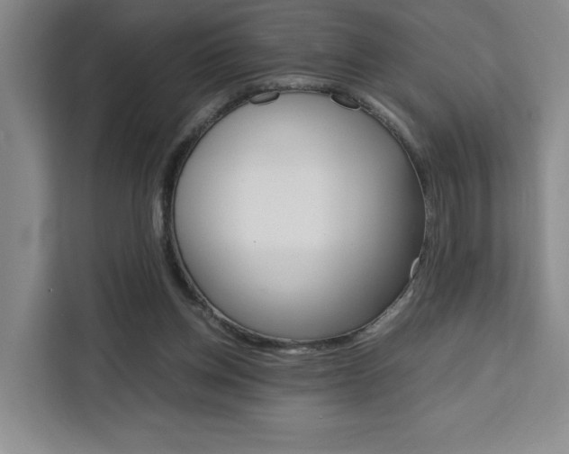 X0000111450158200907131048