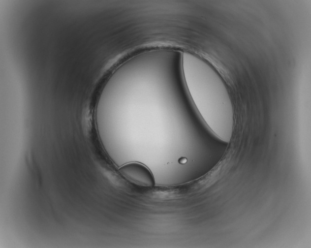 X0000111450160200907131048