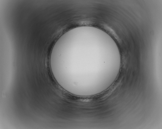 X0000111450161200907131048