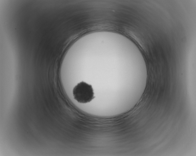 X0000111450164200907131048
