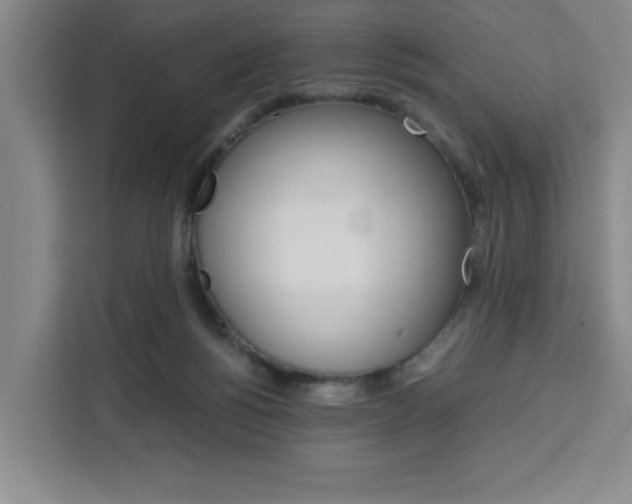 X0000111450168200907131048