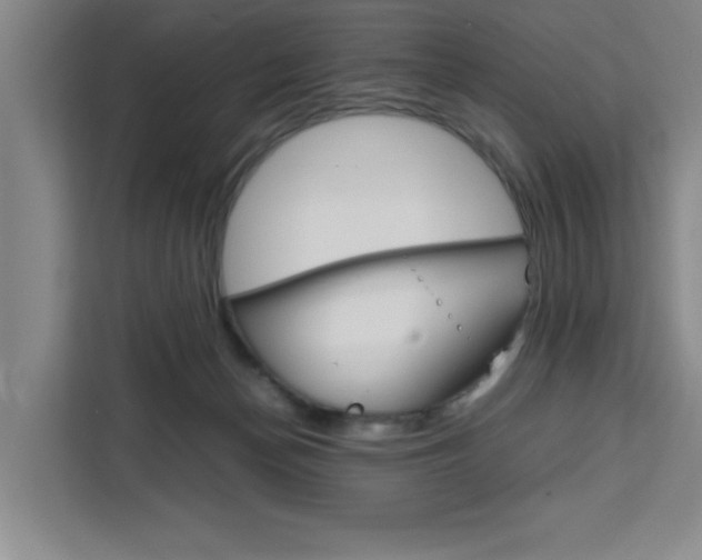 X0000111450174200907131048