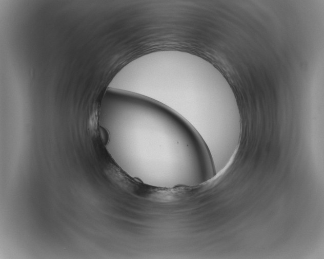 X0000111450190200907131048
