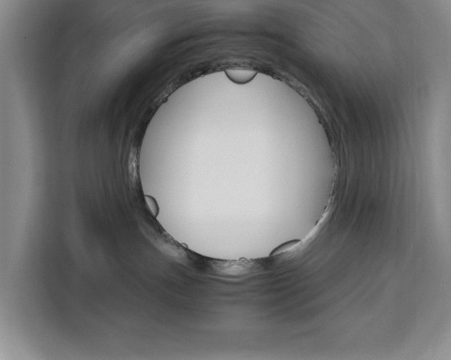 X0000111450191200907131048