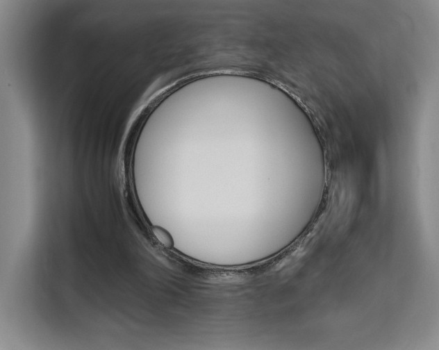 X0000111450198200907131047