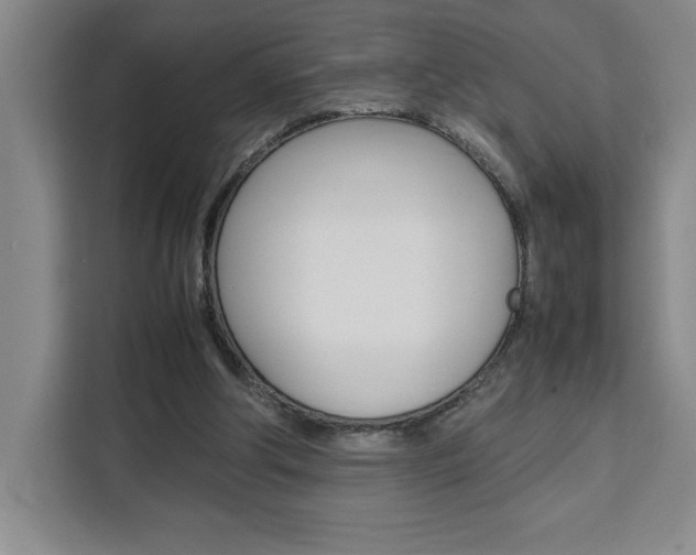 X0000111450202200907131047