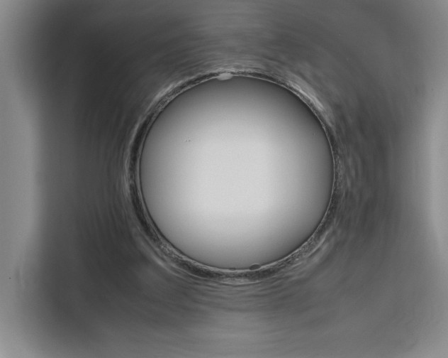 X0000111450203200907131047