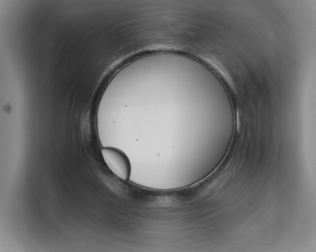 X0000111450204200907131047