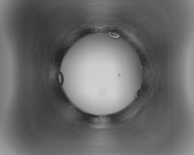 X0000111450225200907131047