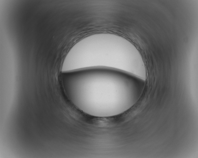 X0000111450229200907131047