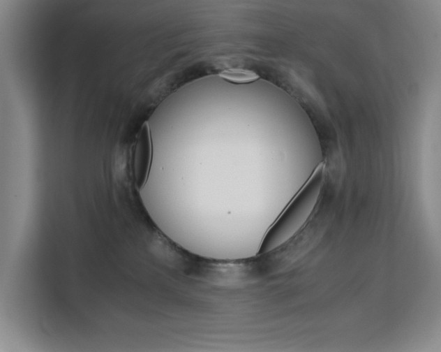 X0000111450233200907131047